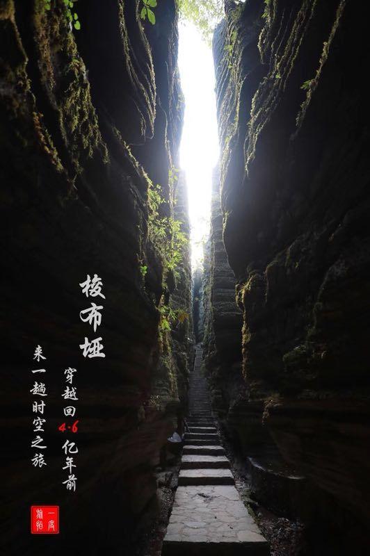 《幻兽帕鲁》传说图纸获取途径